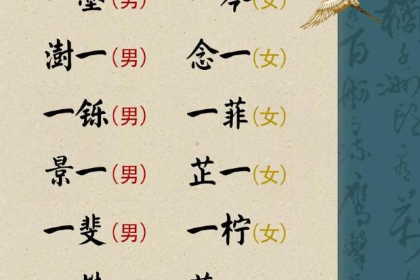 陆姓女孩取名推荐与寓意解析