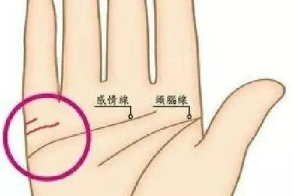 女人右手手相解读：揭示你的内心世界与未来走向