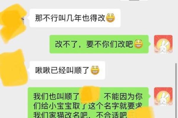 宠物名字创意大全：让你的爱宠与众不同