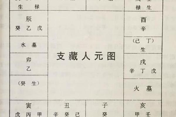 命理纵横：预测未来的秘密与命理学的智慧