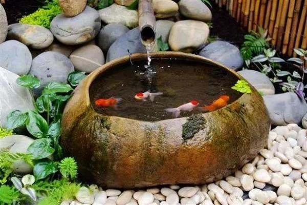 家庭风水中的水景与植物摆放技巧