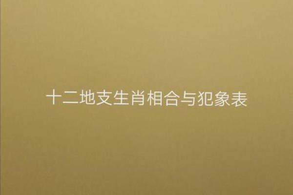 探索十二地支与生肖之间的深刻联系