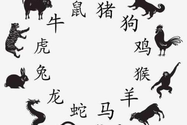 探索十二地支与生肖之间的深刻联系