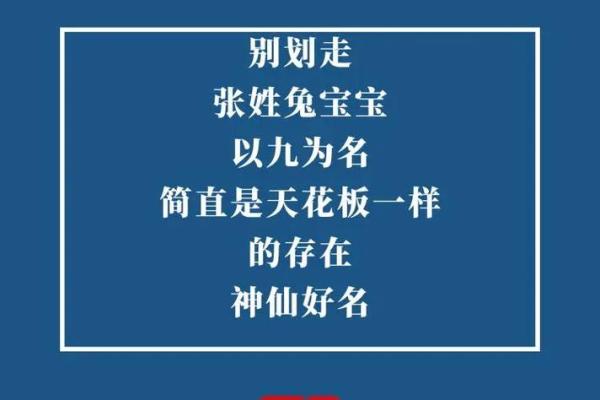 为张姓宝宝挑选名字：音韵搭配与寓意分析