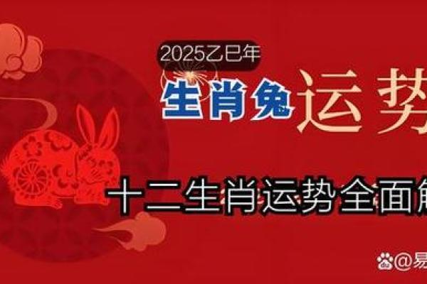 生肖兔运势预测：挑战与机遇并存的一年