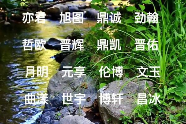 美腾起名网免费取名功能 让你的名字更有意义