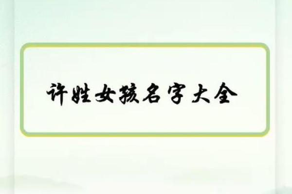 许姓名字评分：如何选出最具运势的名字