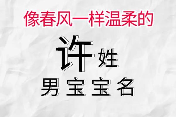 许姓名字评分：如何选出最具运势的名字