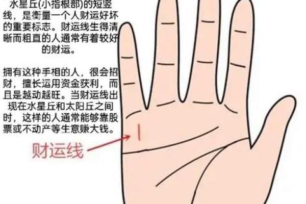家居风水主位选择与布置，助你拥有好运气