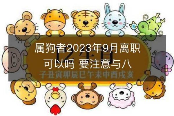 属狗女下半年事业与感情双重运势展望