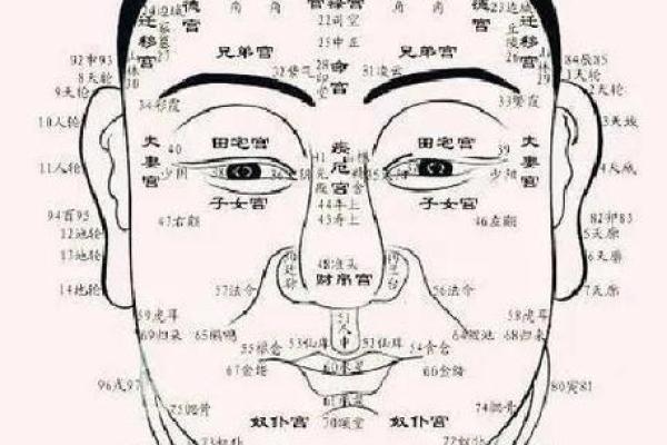 面相识人术：从面部特征揭示个性与命运的奥秘