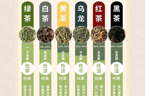 探寻中国食文化的源远流长与地域多样性
