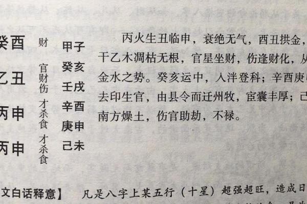 生辰八字的核心要素解析及其深层含义