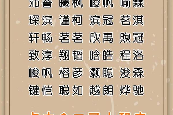 起名大全公司：为企业量身定制专属名字