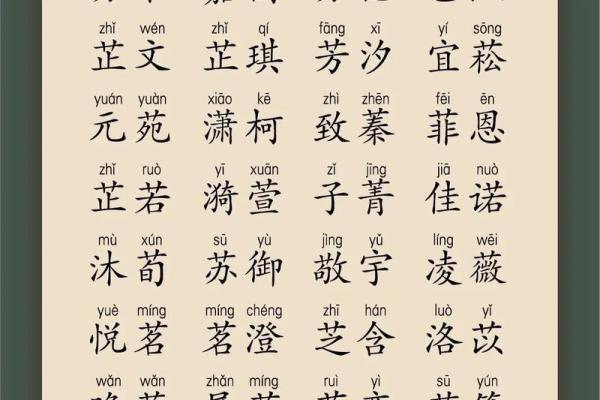 新生儿起名大全：帮助家长轻松选择完美名字