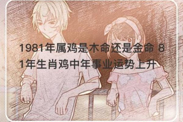 生肖鸡今日运势：健康运势走高，事业需谨慎
