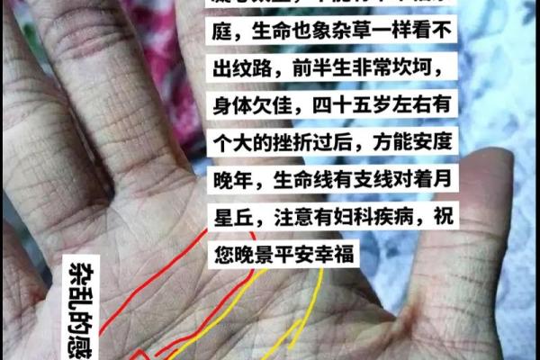 免费手相算命体验：你从手纹中能发现什么？