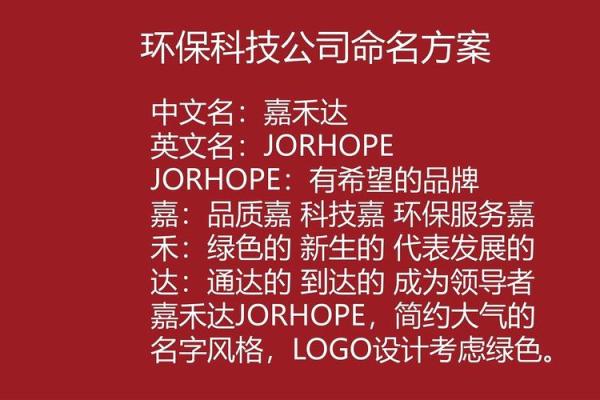 打造独特品牌形象，专业起名公司帮你实现