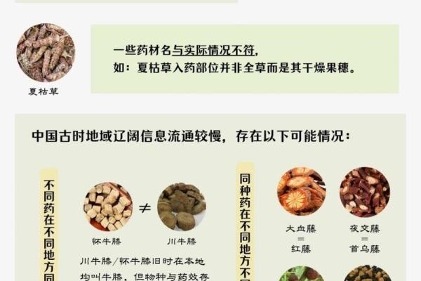 中药取名的艺术与技巧：如何为草药命名赋予独特魅力