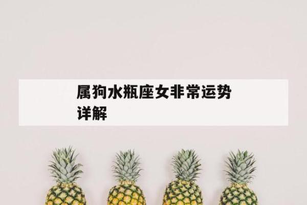 属狗人今日运势如何：注意这些细节助你顺利度过