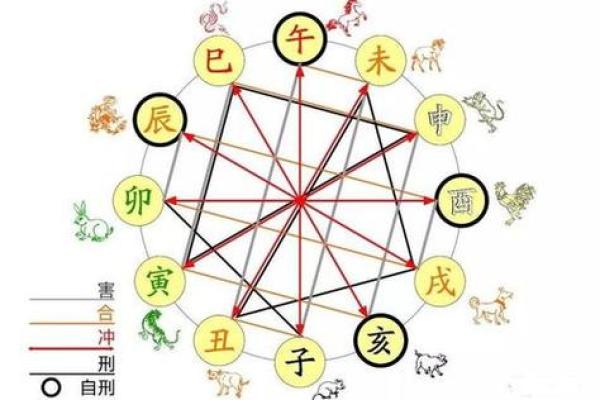 探秘地支未的性格特征与命运走向