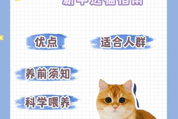 今年出生女宝宝名字选择指南