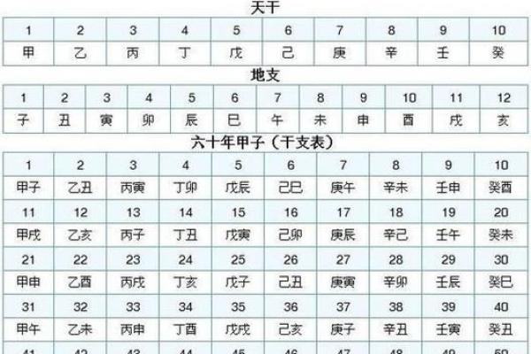 如何通过天干地支解读个人命运