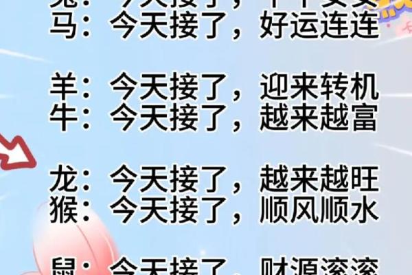 十二生肖每月运势：如何把握好运与挑战