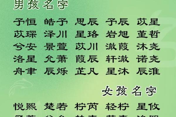 鸡年出生宝宝的名字挑选技巧与注意事项