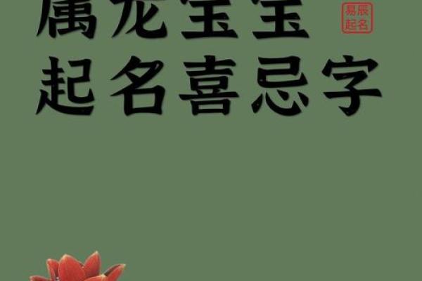 属龙宝宝取名常用字解析与推荐