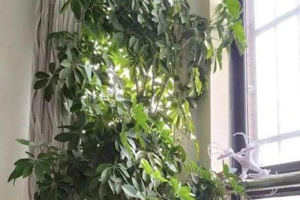 门槛风水的秘密：如何巧妙布置提升家运