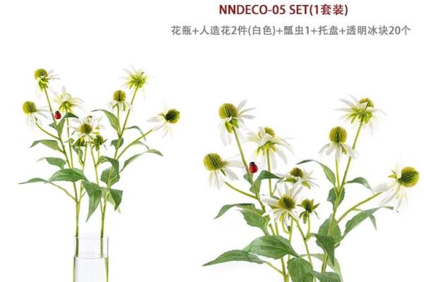 女性风水讲究：打造幸福与平衡的生活空间