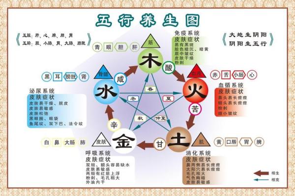 高层住宅风水改运技巧与实践