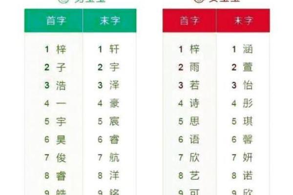 聪聪名字评分：美学与文化意义探讨