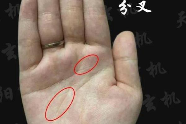 男人面相解析：左眼小右眼大的性格与运势