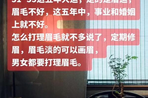 眉毛与风水：改善财运与感情运的小技巧