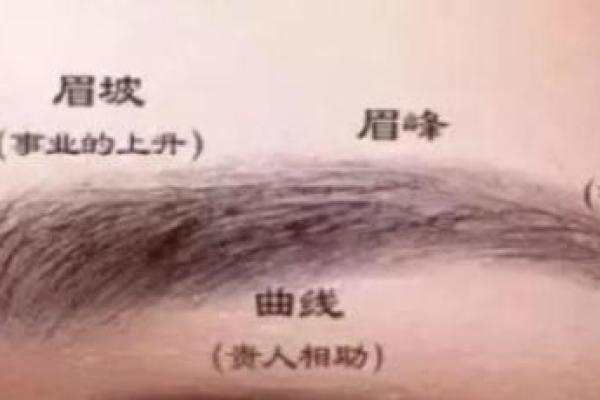 眉毛与风水：改善财运与感情运的小技巧