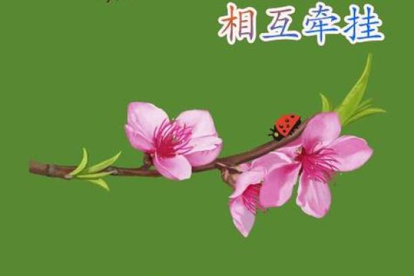 让节日更有意义的祝福与问候