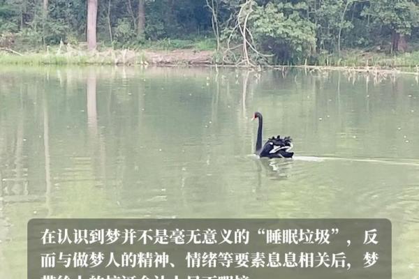 为什么做梦梦到鞋？探索梦境与心理的关联