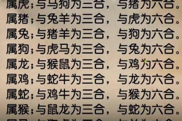 十二地支相合与生肖配对的关系揭秘