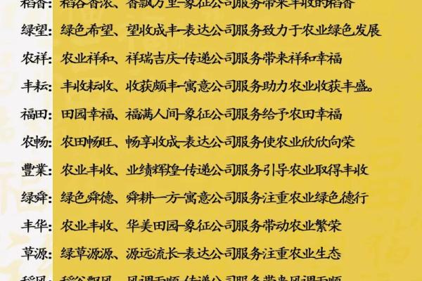 如何利用免费工具快速为公司起个响亮名字