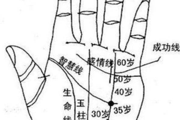 女人手相解读：揭示命运的关键线索