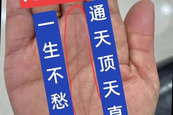 解读马云手相：掌纹暗示他的成功与未来潜力