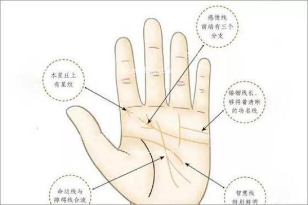 解读马云手相：掌纹暗示他的成功与未来潜力