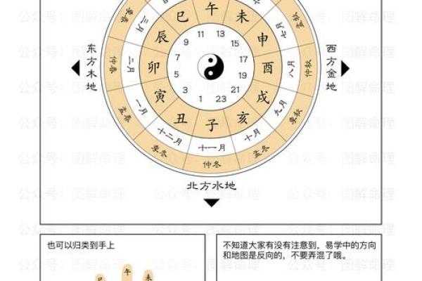 十二生肖与天干地支的奥秘解读：探索古代命理的深层联系