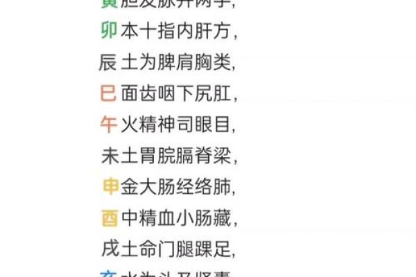 十二生肖与天干地支的奥秘解读：探索古代命理的深层联系