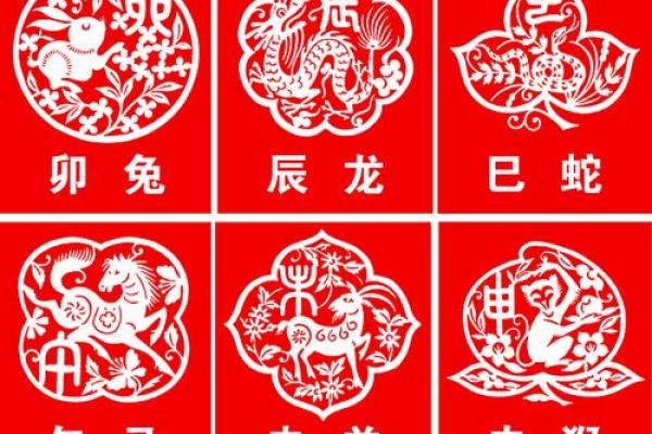 十二生肖与地支的关系解读及其文化意义