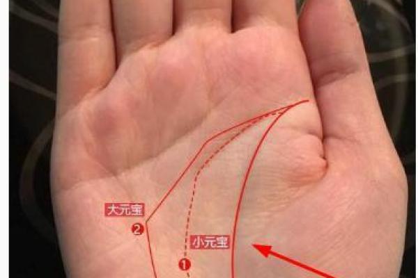 手相女性篇：五个关键特征揭示你的内在世界
