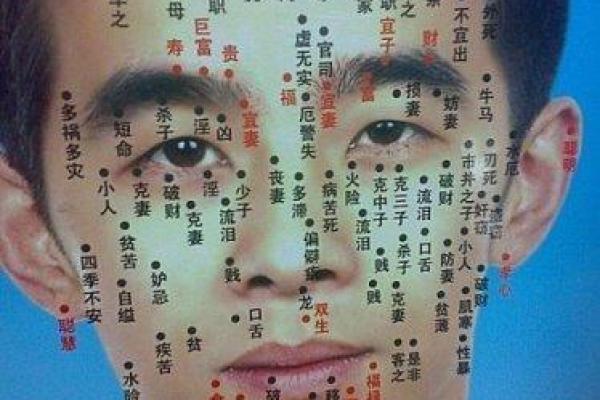 面相学中脸部痣的含义与命运指示