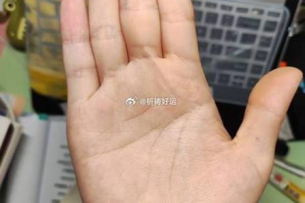 在线手相算命：从手掌看人生的玄机